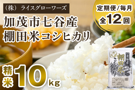 【令和7年産】【定期便12ヶ月毎月お届け】 七谷産 棚田米コシヒカリ 精米10kg（5kg×2）《順次出荷》 白米 （株）ライスグローワーズ