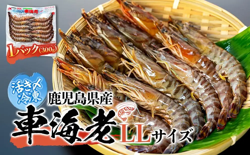 鹿児島県産 活き〆冷凍 車海老（養殖）LLサイズ 300g（10～12尾）1パック セット【 海老】