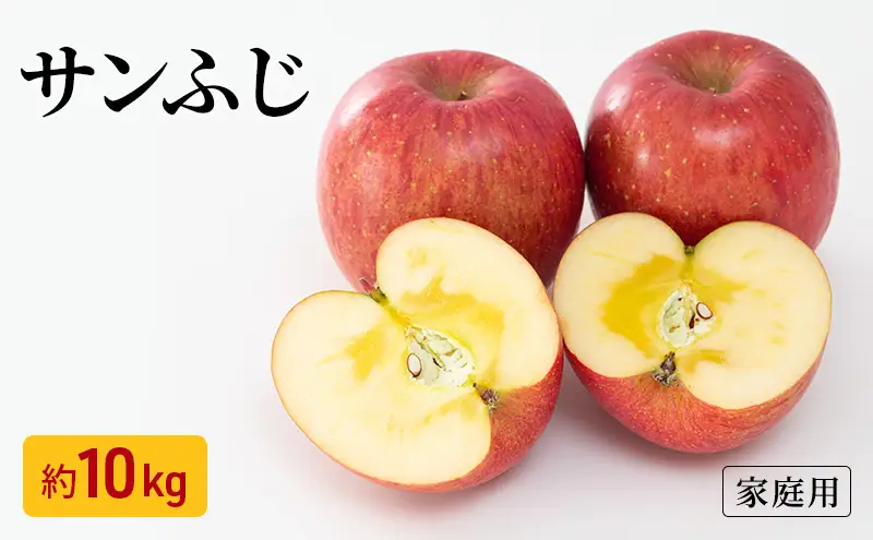 【先行予約】令和8年度産 訳あり りんご サンふじ 約10kg 24～40玉入 家庭用 フルーツ 果物 甘い おいしい 林檎 リンゴ