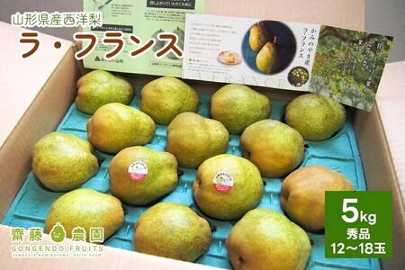 西洋梨（ラ・フランス）５ｋｇ　0037-2610