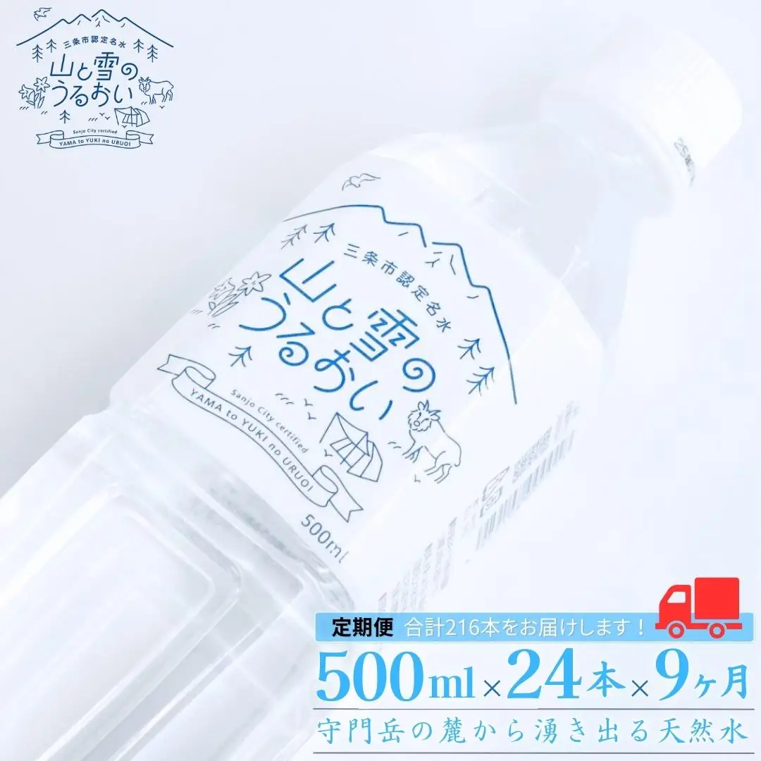 定期便 ミネラルウォーター 500ml×24本 9か月 ナチュラルミネラルウォーター 山と雪のうるおい 軟水 防災 新潟県三条市