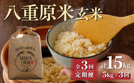 【寄附額改訂↓】令和８年新米予約【3回定期便】八重原米5kg（5kg×1袋）合計15kg 玄米　※2026年10月以降順次発送｜笹屋農園「農薬削減長野県認証取得」先行予約 お米
