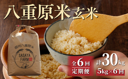 【寄附額改訂↓】令和８年新米予約【6回定期便】八重原米5kg（5kg×1袋）合計30kg 玄米　※2026年10月以降順次発送｜笹屋農園「農薬削減長野県認証取得」 先行予約 お米