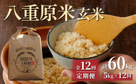 【寄附額改訂↓】令和８年新米予約【12回定期便】八重原米5kg（5kg×1袋）合計60kg 玄米 ※2026年10月以降順次発送｜笹屋農園「農薬削減長野県認証取得」 先行予約 お米