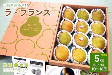 西洋梨（ラ・フランス）５ｋｇ　特秀品　化粧箱詰め　0037-2611