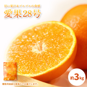 【2026年11月中旬から発送予定】愛果28号 (紅まどんな と同品種) 秀品 約3kg 贈答用 高級 化粧箱入り  | みかんみかんみかんみかんみかん【KK3001】