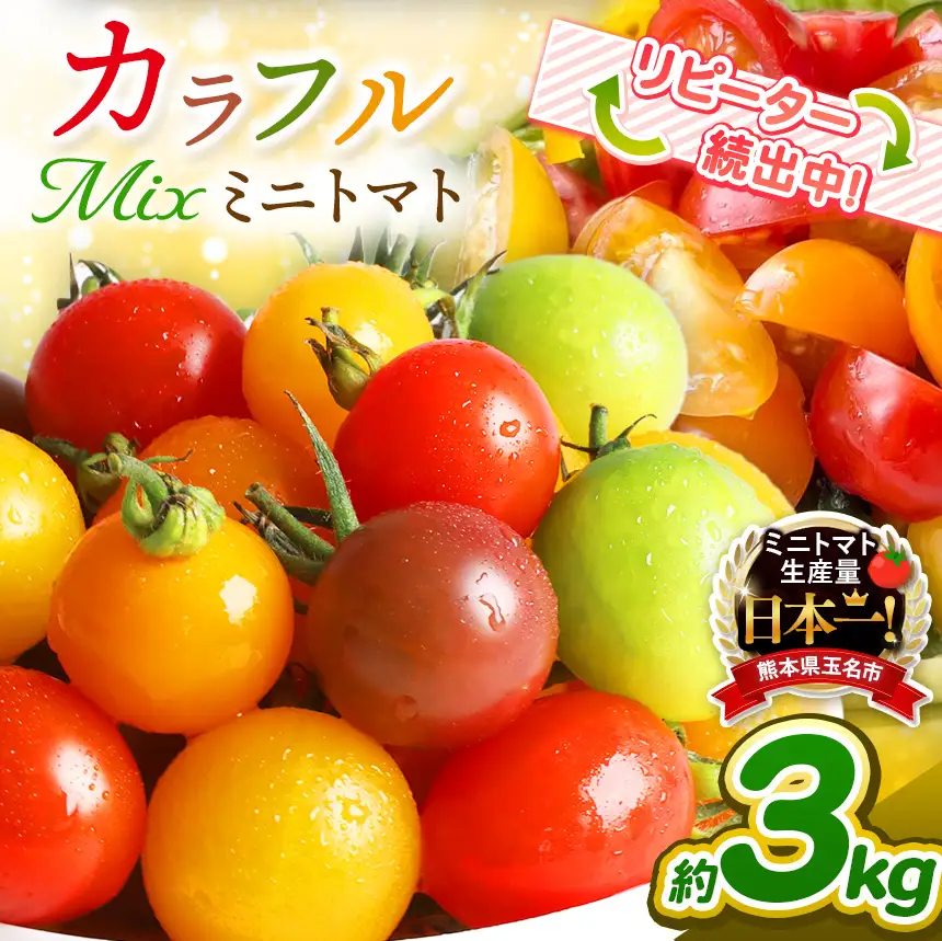 サザキ農園 ミニトマト 彩り セット （ ミックス ） 3kg |  ミニトマト トマト 野菜 熊本県 玉名市