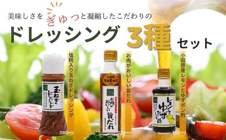 ドレッシング 地元食材をふんだんに使用したドレッシング３種セット 008-15