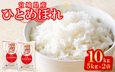 【令和7年産】宮城県産 ひとめぼれ 合計10kg (5kg×2袋) お米 おこめ 米 コメ 白米 ご飯 ごはん おにぎり お弁当【株式会社パールライス宮城】ta203