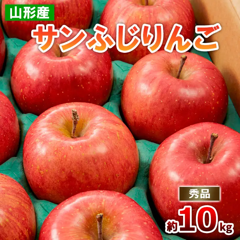 山形のサンふじりんご 約10kg 秀品(20～50玉)【令和8年産先行予約】FS25-790