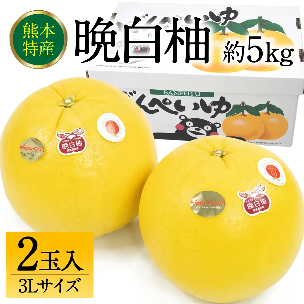 【先行予約】 晩白柚 ばんぺいゆ 3Lサイズ 2玉 約5kg 晩白柚 柑橘 【2026年12月上旬より順次発送】