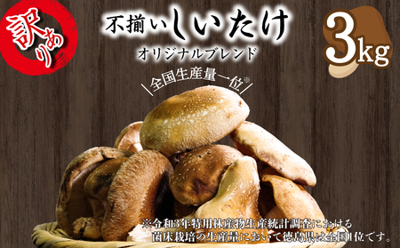 訳あり 生しいたけ 3kg しいたけ