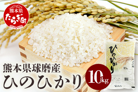 【お米】 令和5年度産 球磨産 ひのひかり 精米 10kg お米 新米 熊本県産 米 白米 ご飯 美味しいご飯 美味しい米 036-0505