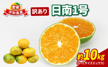 訳あり 極早生 愛媛 みかん 10kg NBU B015-058008