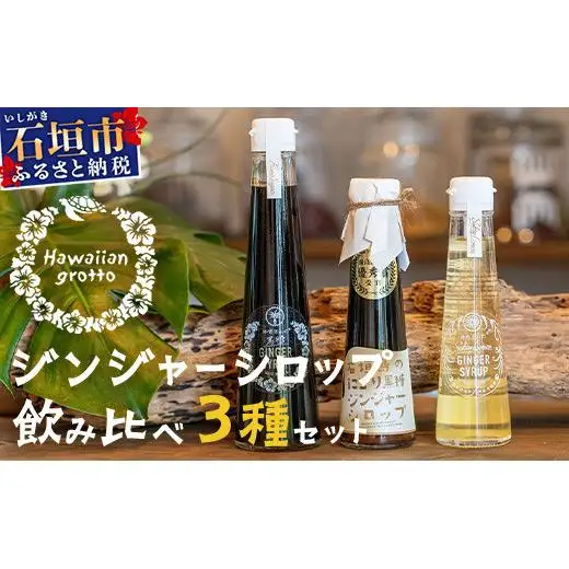 ジンジャーシロップ飲み⽐べ3種セット(200ML×1本、120ML×2本)　HW-5 