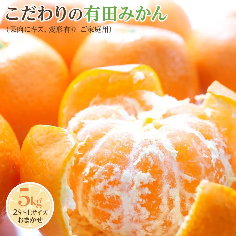 こだわりの有田みかん　ご家庭用　5kg