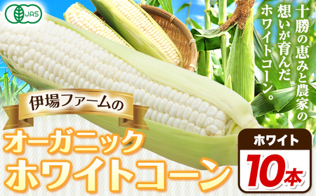 北海道産 オーガニック ホワイトコーン 10本 2026年予約 伊場ファーム