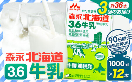 【定期便3回】 森永北海道3.6牛乳 牛乳 大容量 1000ml×12本入り 