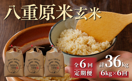 【寄附額改訂↓】令和8年新米予約【6回定期便】八重原米6kg（2kg×3袋）合計36kg 玄米 ※2026年10月以降順次発送｜笹屋農園「農薬削減長野県認証取得」先行予約 お米