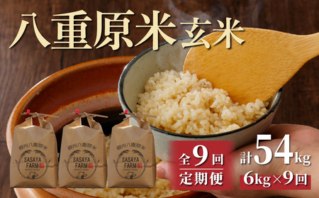 【寄附額改訂↓】令和8年新米予約【9回定期便】八重原米6kg（2kg×3袋）合計54kg 玄米　※2026年10月以降順次発送｜笹屋農園「農薬削減長野県認証取得」先行予約 お米