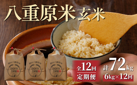 【寄附額改訂↓】令和8年新米予約【12回定期便】八重原米6kg（2kg×3袋）合計72kg 玄米 ※2026年10月以降順次発送｜笹屋農園「農薬削減長野県認証取得」先行予約 お米