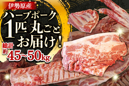 [限定] ハーブで育った絶品ポーク 豚肉1匹分 まるごとお届け！ [0729]