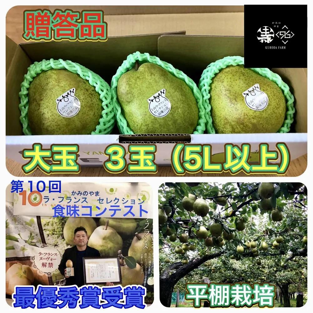 西洋梨（ラ・フランス）大玉３玉　贈答品　0102-2603