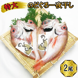 特大 のどぐろ　一夜干し2尾セット