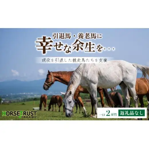ホーストラスト北海道支援 2万円コース 引退馬 F21H-557 馬 競走馬 引退 支援 馬 競走馬 引退 支援 馬 競走馬 引退 支援  馬 競走馬 引退 支援  馬 競走馬 引退 支援  馬 競走馬 引退 支援  馬 競走馬 引退 支援  馬 競走馬 引退 支援