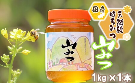 はちみつ 国産 天然 純はちみつ やまみつ 1kg ハチミツ 蜂蜜 