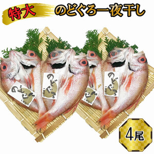 特大 のどぐろ　一夜干し2尾×2箱セット
