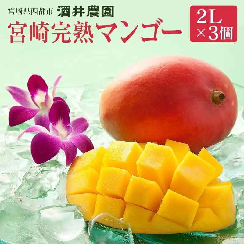 【酒井農園 】西都産 宮崎完熟マンゴー2L×3個 産生者直送＜18-36a＞【先行予約】2026年発送 宮崎マンゴー