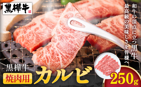 黒毛和牛 黒樺牛 焼肉用 牛肉 カルビ 250g|杉本本店
