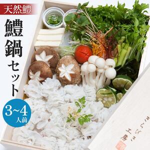 【漁獲量全国トップクラス】天然鱧鱧鍋セット（3～4人前）
