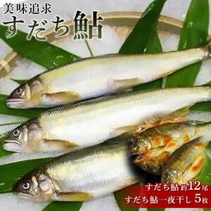 すだち鮎  (約1kg)・一夜干し (5枚) セット 冷凍 鮎 あゆ 魚