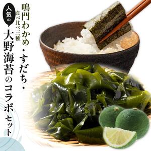 鳴門わかめ 食べ比べ カットわかめ 10g×12 糸わかめ 10g×2 生わかめ 145g×2 すだち 8個 大野海苔 10本 セット のり 海苔
