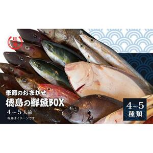 その日のセリの一番魚お届けBOX　4人前（下処理済み）