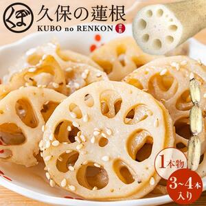 蓮根 1本物 3～4本入り れんこん