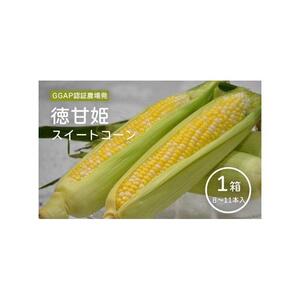 期間限定 先行予約 スイートコーン 朝採れ  (8～11本）【徳甘姫】 とうもろこし