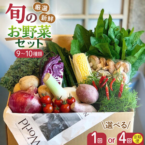 野菜セット 旬の野菜 （9~10種類) やさい 詰合せ 新鮮 季節の野菜