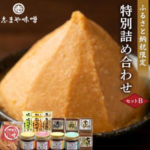 ふるさと納税限定 特別詰め合わせセットB  (みそ もろみ おみそ汁 煎餅）
