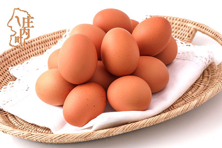 スズキのたまご 地養卵 MS～L 30個 新鮮 卵 たまご 鶏卵 生卵 地養卵 赤たまご