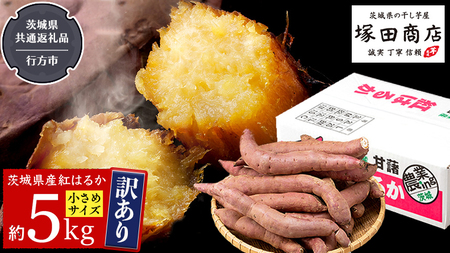 訳あり さつまいも 5kg 小さめ 無選別 （茨城県共通返礼品：行方市） 茨城県 行方市 サツマイモ さつま芋 お徳用