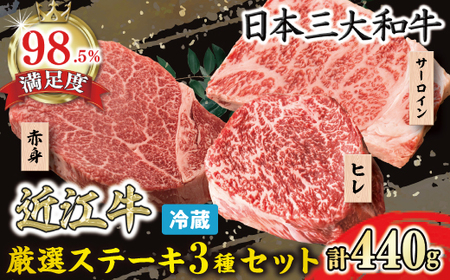 近江牛 厳選 ステーキ 3種 ヒレ サーロイン 赤身 セット 440g 冷蔵 寛閑観 【FR17W1】  ステーキ