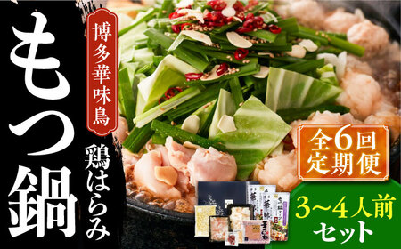 【全6回定期便】博多華味鳥 博多もつ鍋 鶏はらみ セット 3~4人前 博多 福岡 鍋 鶏 もつ もつ鍋 [ABCN016] 