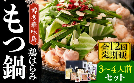 【全12回定期便】博多華味鳥 博多もつ鍋 鶏はらみ セット 3~4人前 博多 福岡 鍋 鶏 もつ もつ鍋 [ABCN017] 