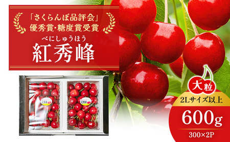 先行受付 北海道 仁木町産 ジャンボサイズ さくらんぼ 【 紅秀峰 】2Lサイズ以上 300g×2パック 計600g 　サクランボ チェリー フルーツ 果物 果物類  仁木町 仁木 [嶋田茂農園匠]