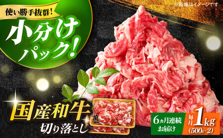【全6回定期便】【たっぷり大容量！】博多和牛 切り落とし 1000g(500ｇ×2Ｐ） 牛肉 肉 [ABBP028] 