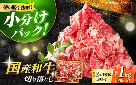【全12回定期便】国産和牛 切り落とし 1kg [ABBP029] 牛肉 切り落とし