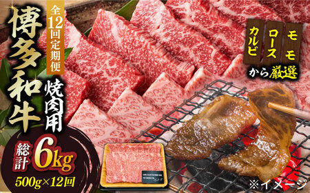 【全12回定期便】【和牛の旨味を堪能！】博多和牛焼肉用 500g 牛肉 BBQ [ABBP035] 